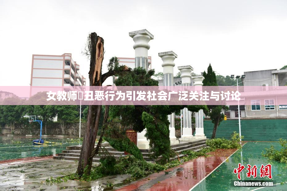 女教师婬丑恶行为引发社会广泛关注与讨论