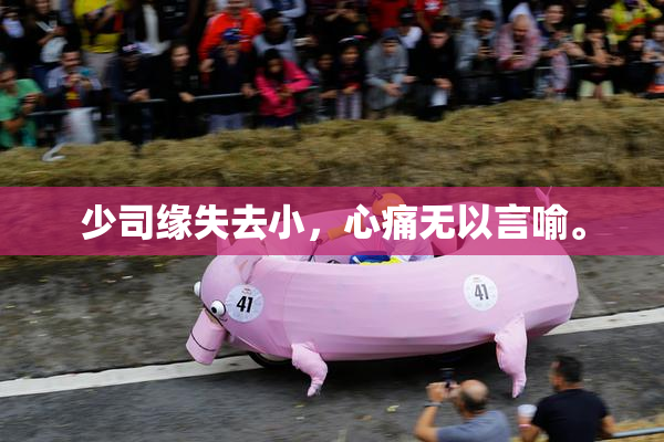 少司缘失去小，心痛无以言喻。