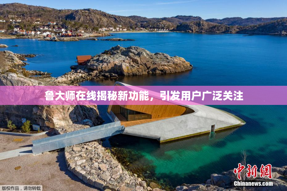 鲁大师在线揭秘新功能，引发用户广泛关注