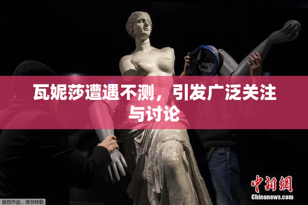 瓦妮莎遭遇不测，引发广泛关注与讨论