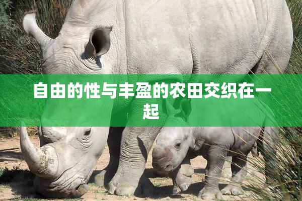 自由的性与丰盈的农田交织在一起