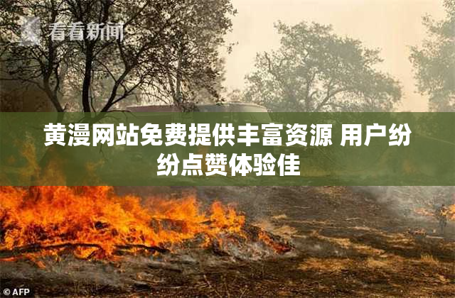 黄漫网站免费提供丰富资源 用户纷纷点赞体验佳