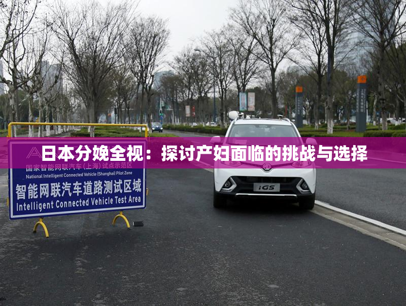 日本分娩全视：探讨产妇面临的挑战与选择