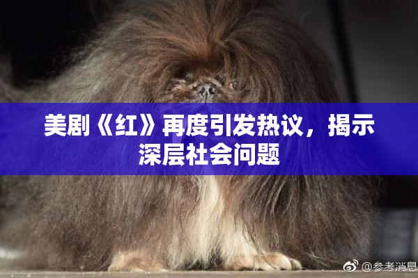 美剧《红》再度引发热议，揭示深层社会问题