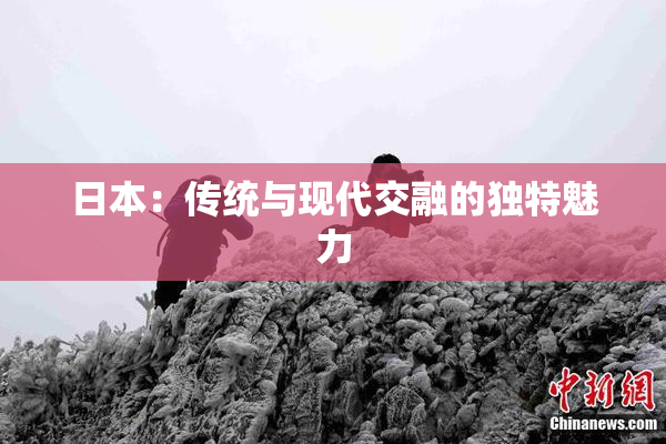 日本：传统与现代交融的独特魅力