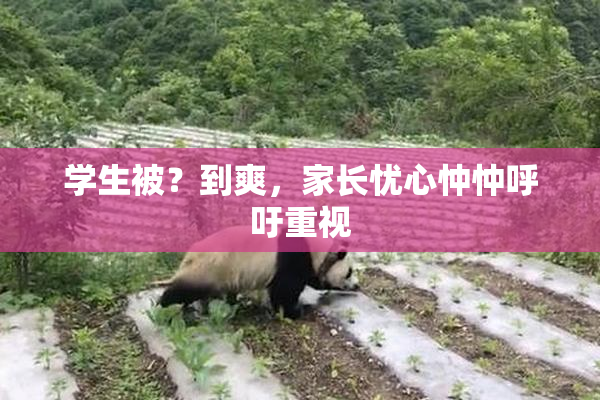 学生被？到爽，家长忧心忡忡呼吁重视