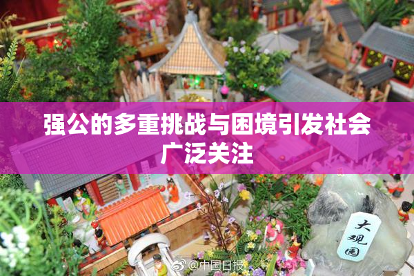强公的多重挑战与困境引发社会广泛关注