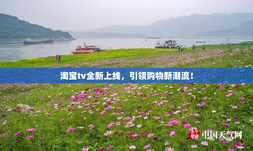 淘宝tv全新上线，引领购物新潮流！