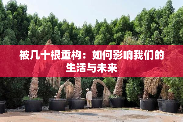 被几十根重构：如何影响我们的生活与未来