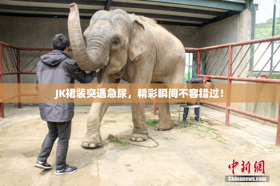 JK裙装突遇急尿，精彩瞬间不容错过！