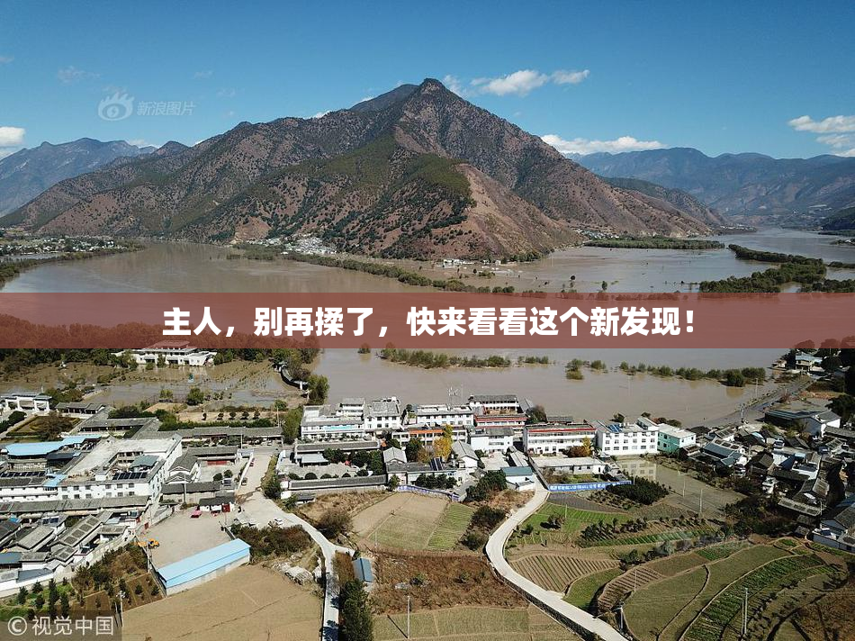 主人，别再揉了，快来看看这个新发现！