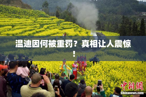 温迪因何被重罚？真相让人震惊！