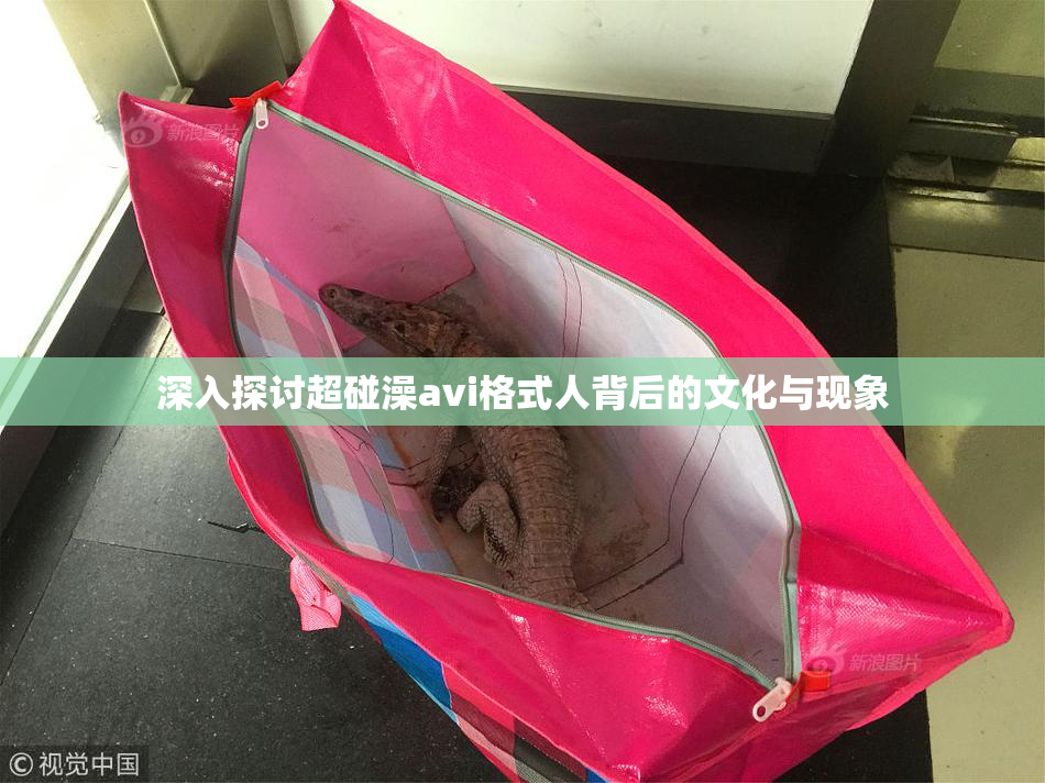 深入探讨超碰澡avi格式人背后的文化与现象
