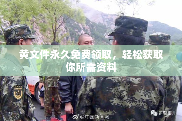 黄文件永久免费领取，轻松获取你所需资料