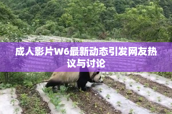 成人影片W6最新动态引发网友热议与讨论