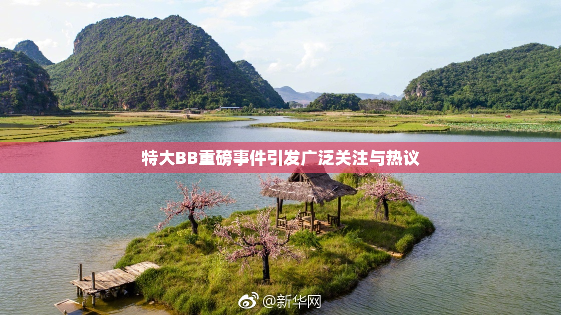 特大BB重磅事件引发广泛关注与热议