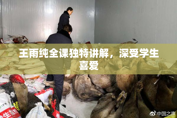王雨纯全课独特讲解，深受学生喜爱