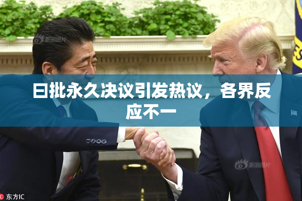 曰批永久决议引发热议，各界反应不一
