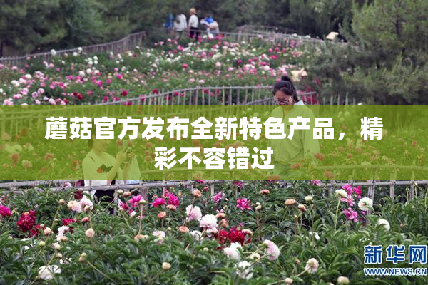 蘑菇官方发布全新特色产品，精彩不容错过