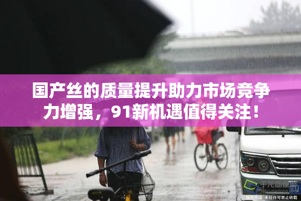 国产丝的质量提升助力市场竞争力增强，91新机遇值得关注！