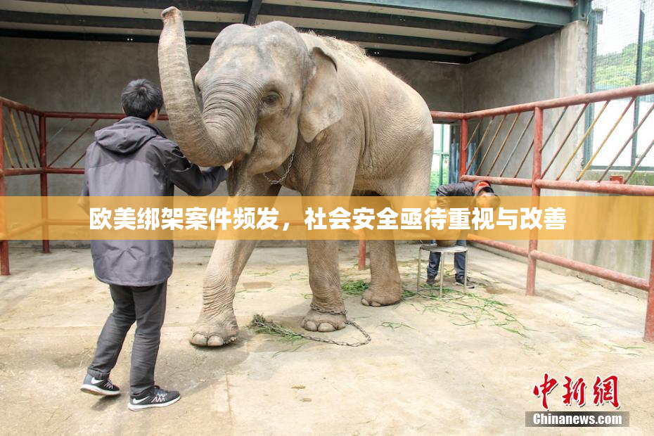 欧美绑架案件频发，社会安全亟待重视与改善