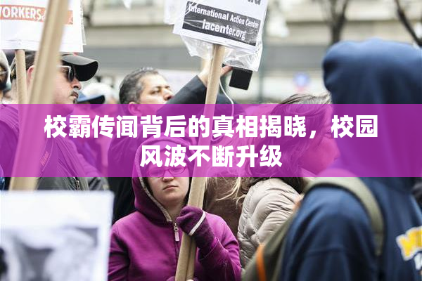 校霸传闻背后的真相揭晓，校园风波不断升级