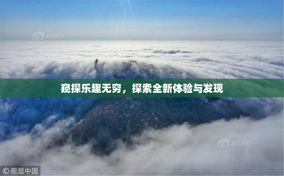 窥探乐趣无穷，探索全新体验与发现