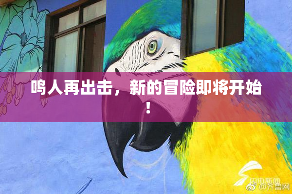 鸣人再出击，新的冒险即将开始！