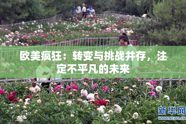 欧美疯狂：转变与挑战并存，注定不平凡的未来