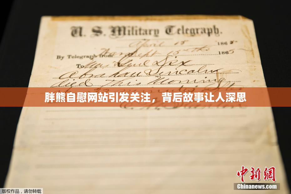 胖熊自慰网站引发关注，背后故事让人深思