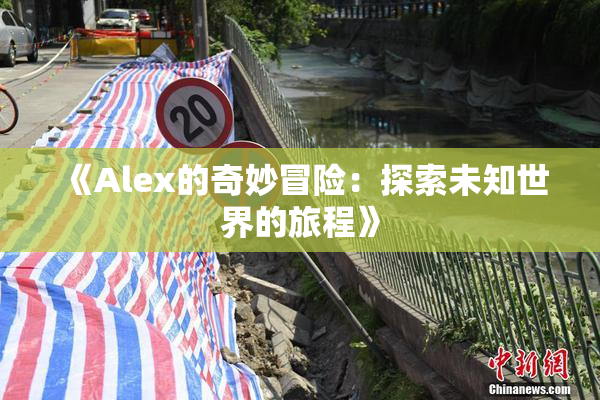 《Alex的奇妙冒险：探索未知世界的旅程》