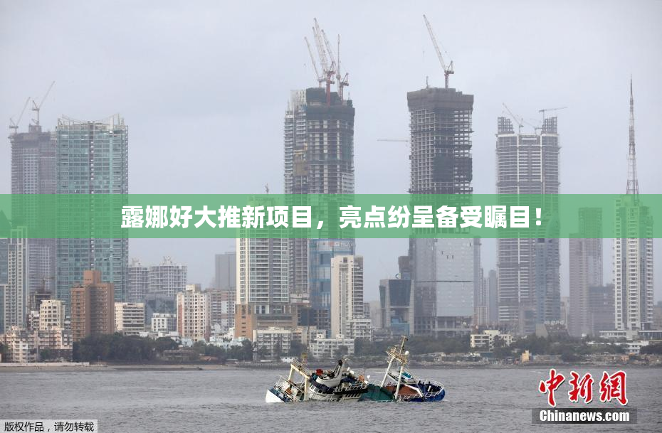 露娜好大推新项目，亮点纷呈备受瞩目！