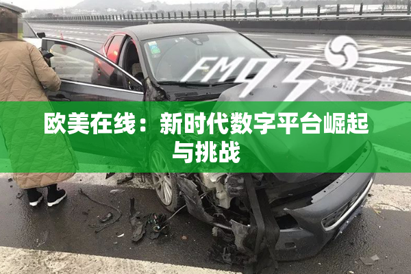 欧美在线：新时代数字平台崛起与挑战