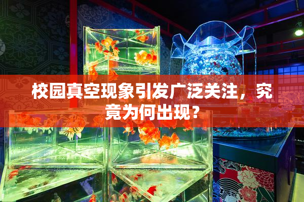 校园真空现象引发广泛关注，究竟为何出现？