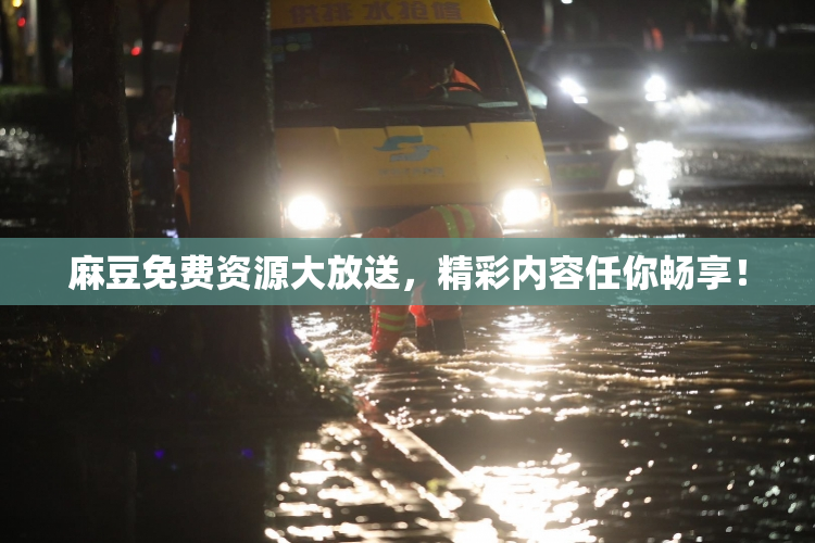 麻豆免费资源大放送，精彩内容任你畅享！
