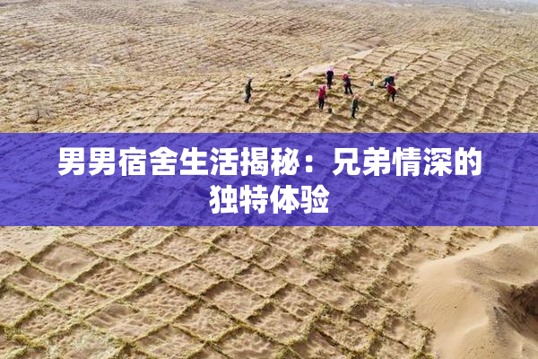 男男宿舍生活揭秘：兄弟情深的独特体验