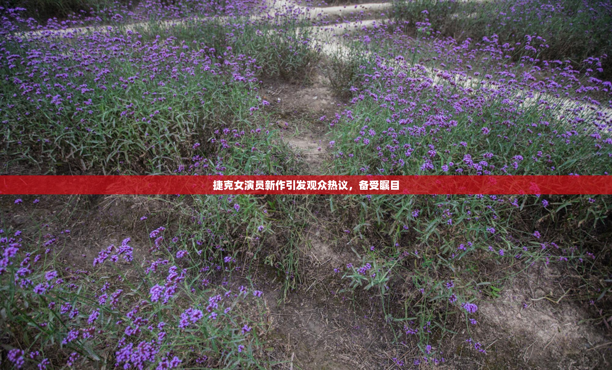 捷克女演员新作引发观众热议，备受瞩目