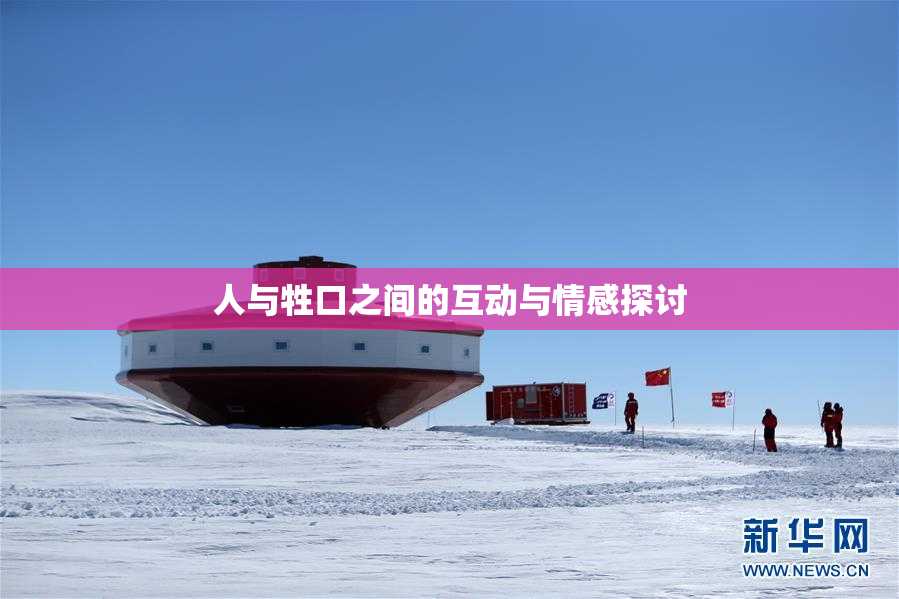 人与牲口之间的互动与情感探讨