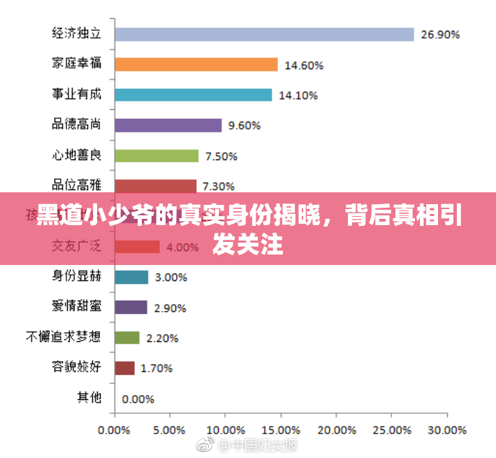 黑道小少爷的真实身份揭晓，背后真相引发关注