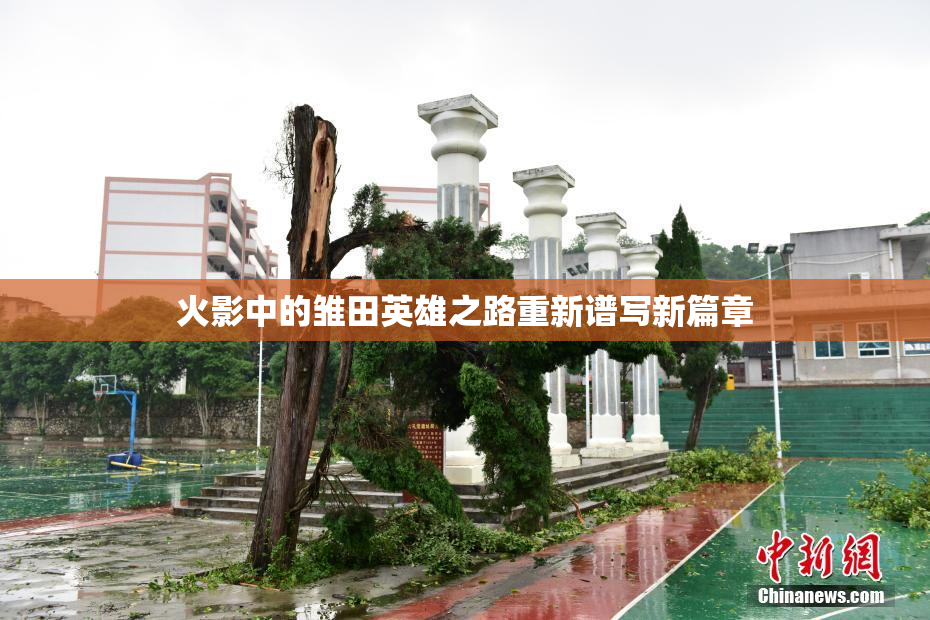 火影中的雏田英雄之路重新谱写新篇章