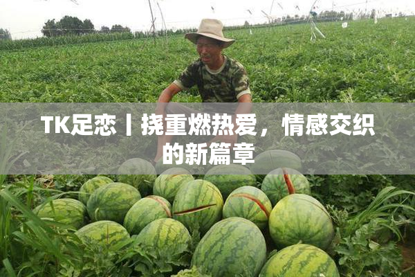 TK足恋丨挠重燃热爱，情感交织的新篇章