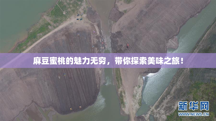 麻豆蜜桃的魅力无穷，带你探索美味之旅！