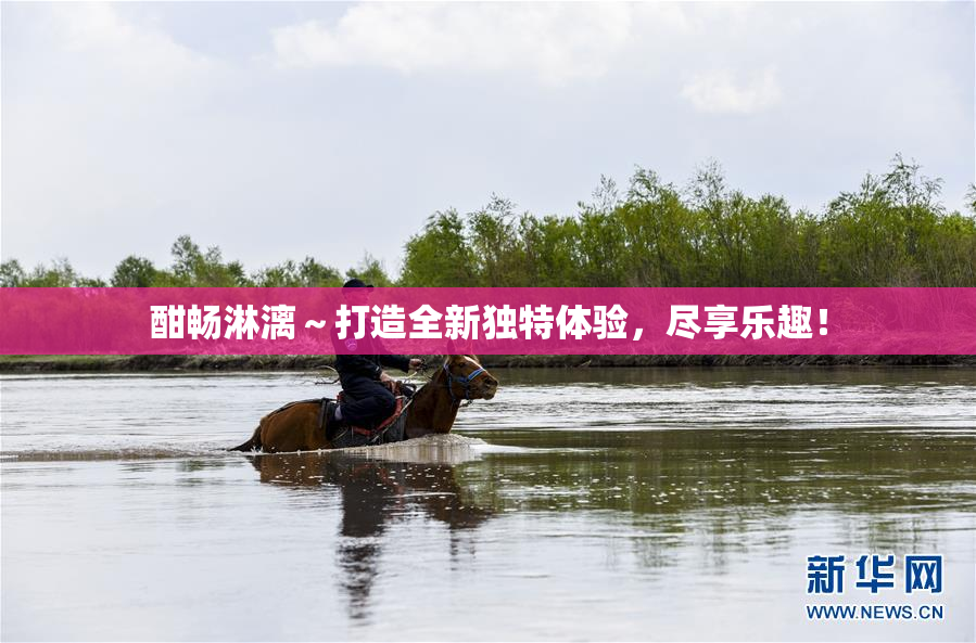 酣畅淋漓～打造全新独特体验，尽享乐趣！