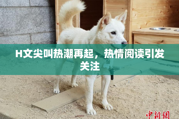 H文尖叫热潮再起，热情阅读引发关注