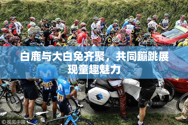 白鹿与大白兔齐聚，共同蹦跳展现童趣魅力