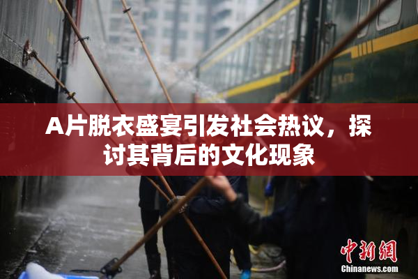 A片脱衣盛宴引发社会热议，探讨其背后的文化现象