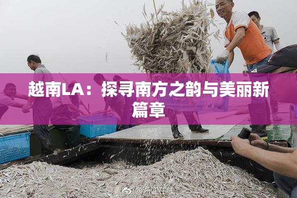 越南LA：探寻南方之韵与美丽新篇章
