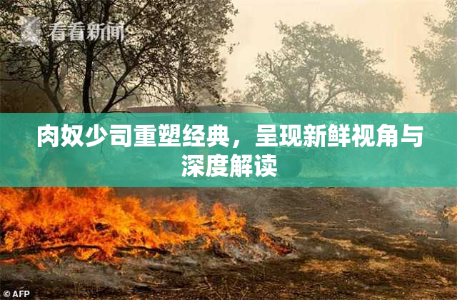 肉奴少司重塑经典，呈现新鲜视角与深度解读