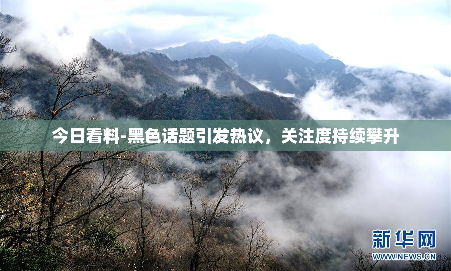 今日看料-黑色话题引发热议，关注度持续攀升