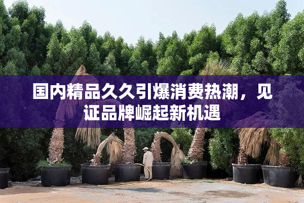 国内精品久久引爆消费热潮，见证品牌崛起新机遇